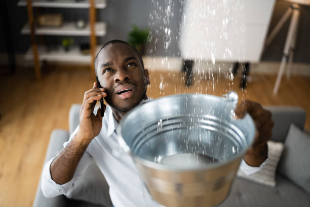 Best Water damage cleanup near me  in Beckett Ridge, OH