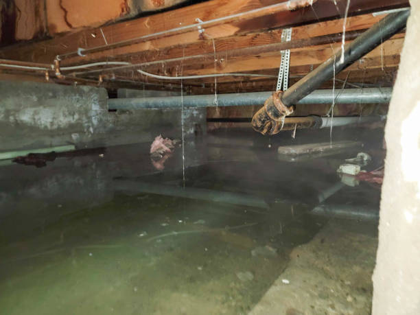 Best 24-hour water damage restoration  in Beckett Ridge, OH