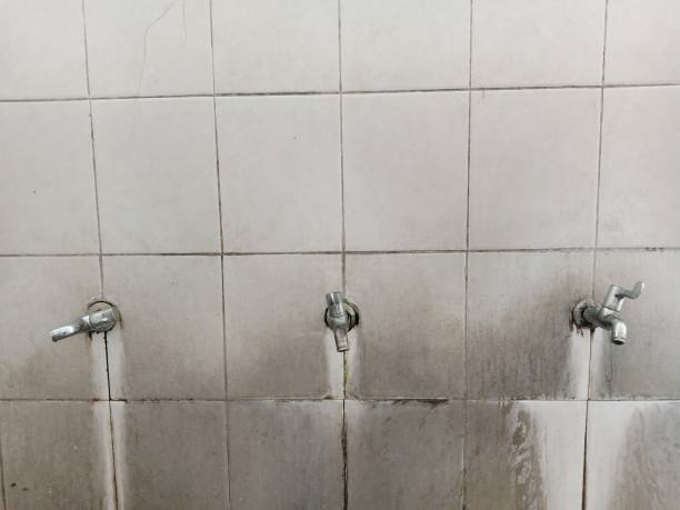 Best Water damage restoration services  in Beckett Ridge, OH