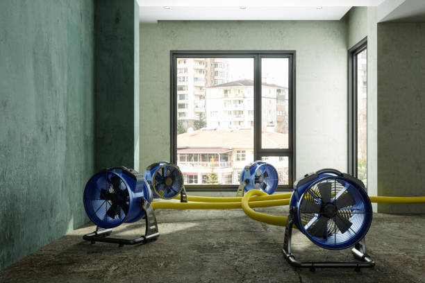 Best Mold removal after water damage  in Beckett Ridge, OH