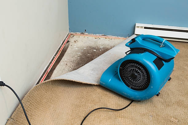 Best Flood damage cleanup  in Beckett Ridge, OH